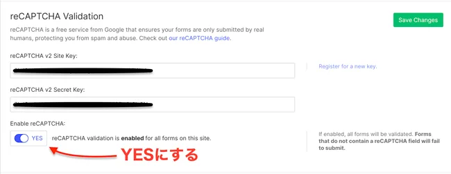 WebflowでreCAPTCHA Validationを有効にする設定画面