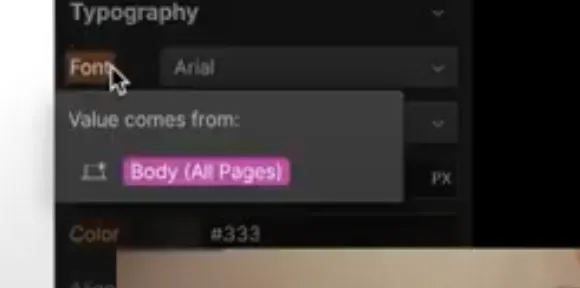 The font item in blue indicating a direct value in the Webflow CSS panel