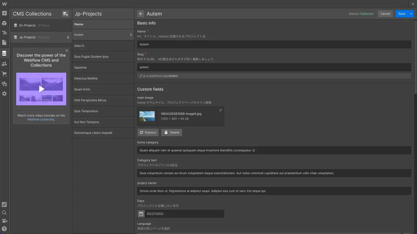 Example of a Webflow CMS admin screen Webharu delivered to a client